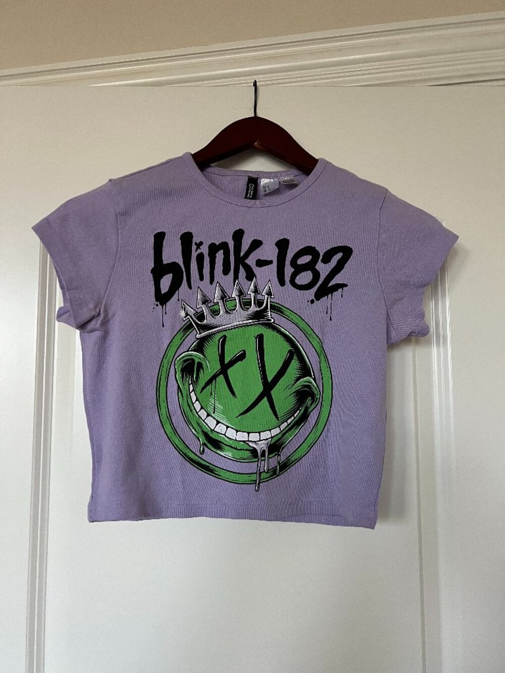 Blink-182 Graphic Crop Tee | Size Small